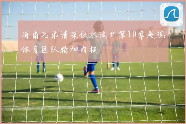 海南兄弟情深似水流年第10章展现体育团队精神内核